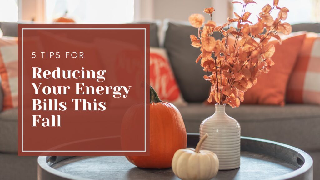 Reducing Your Energy Bill