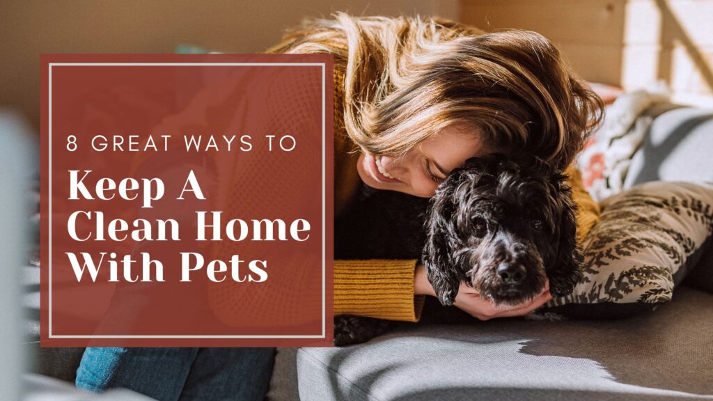8 Great Ways to Keep a Clean Home with Pets - BECKHAM HEATING & AIR, LLC